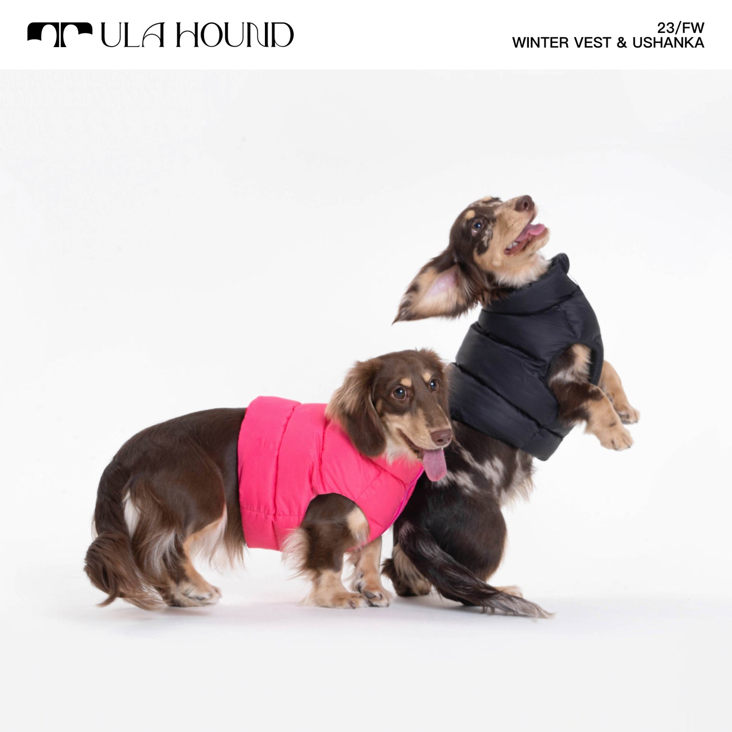 ITALIAN GREYHOUND & WHIPPET WINTER VEST