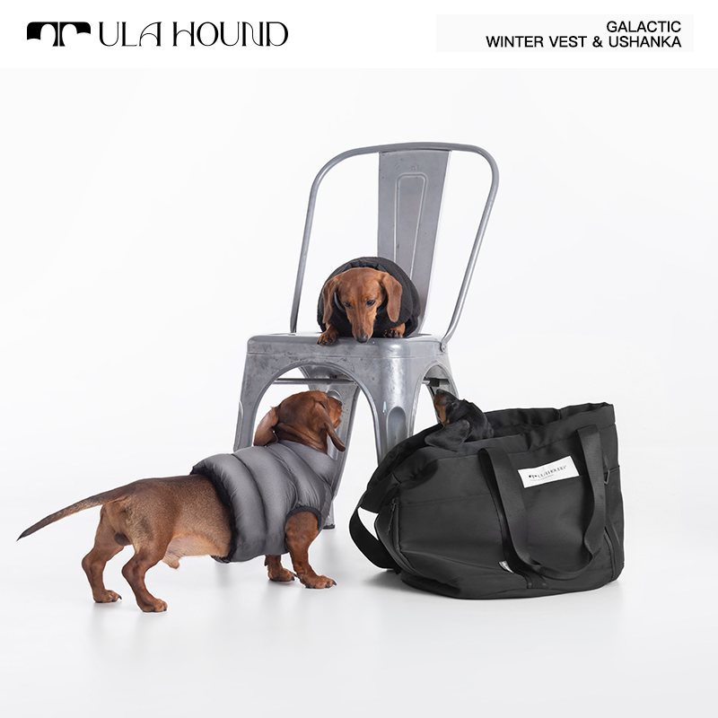 ITALIAN GREYHOUND & WHIPPET WINTER VEST(REVERSIBLE)