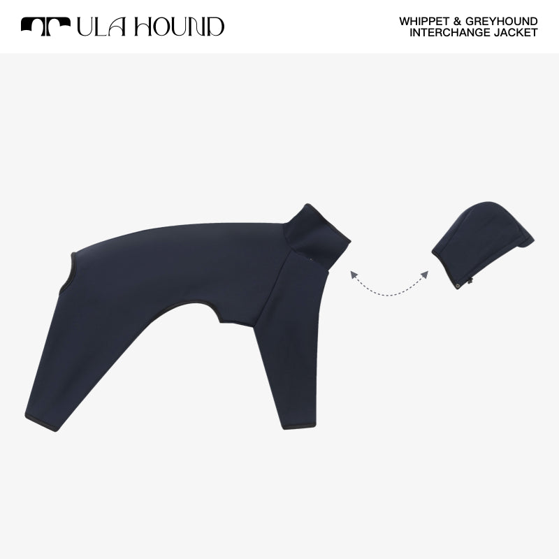 ITALIAN GREYHOUND & WHIPPET INTERCHANGE JACKET