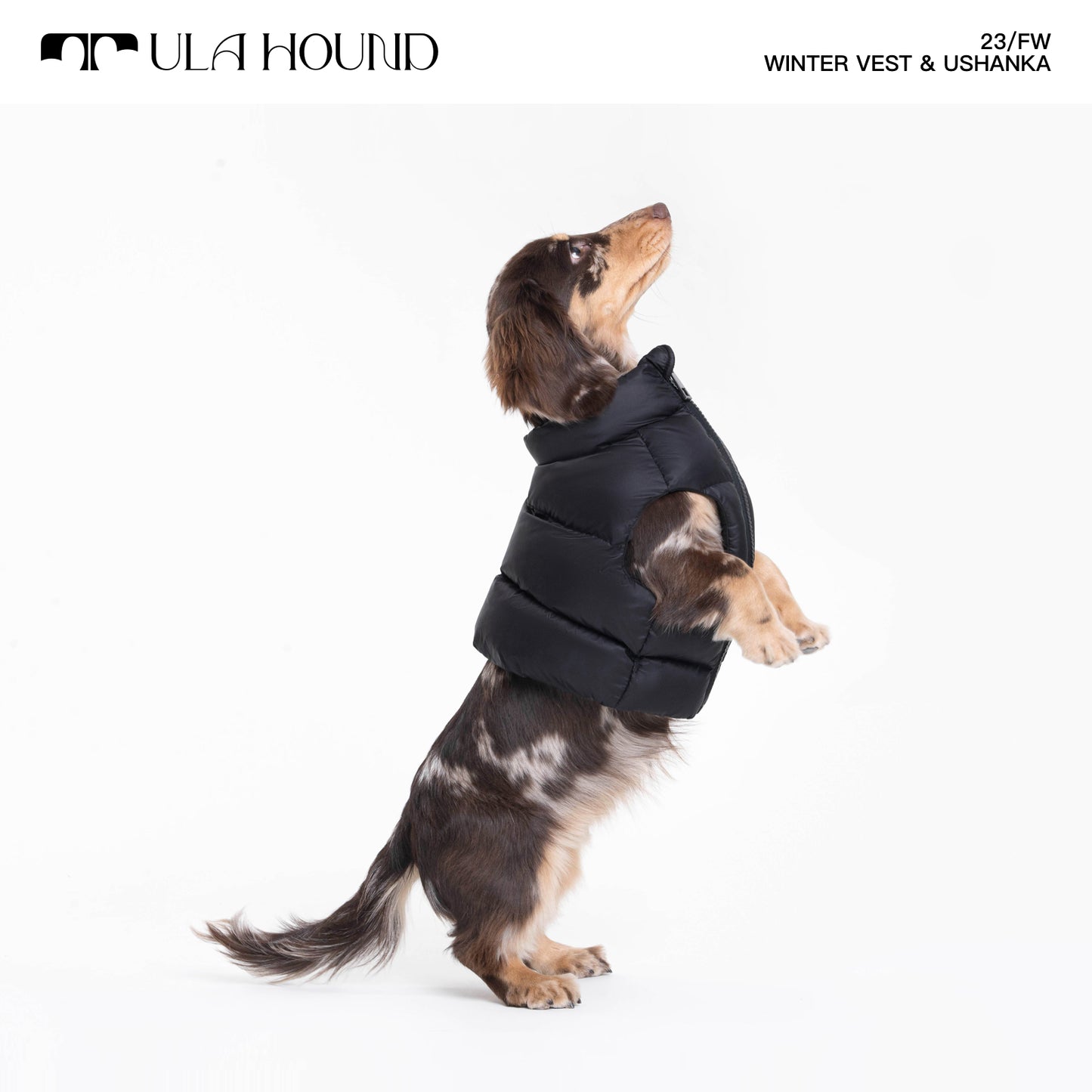 ITALIAN GREYHOUND & WHIPPET WINTER VEST