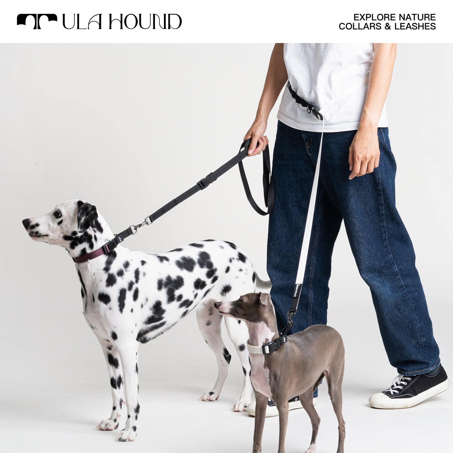 P Choke Collar, Multi-Functional Hands-Free Leash for Dogs