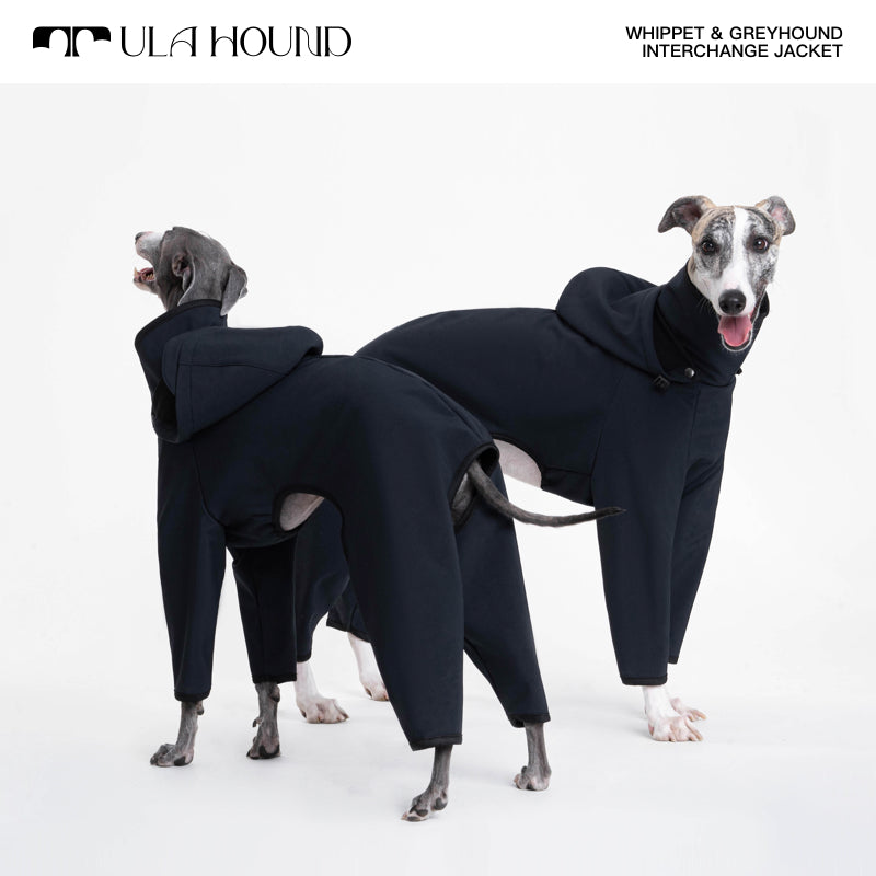 ITALIAN GREYHOUND & WHIPPET INTERCHANGE JACKET