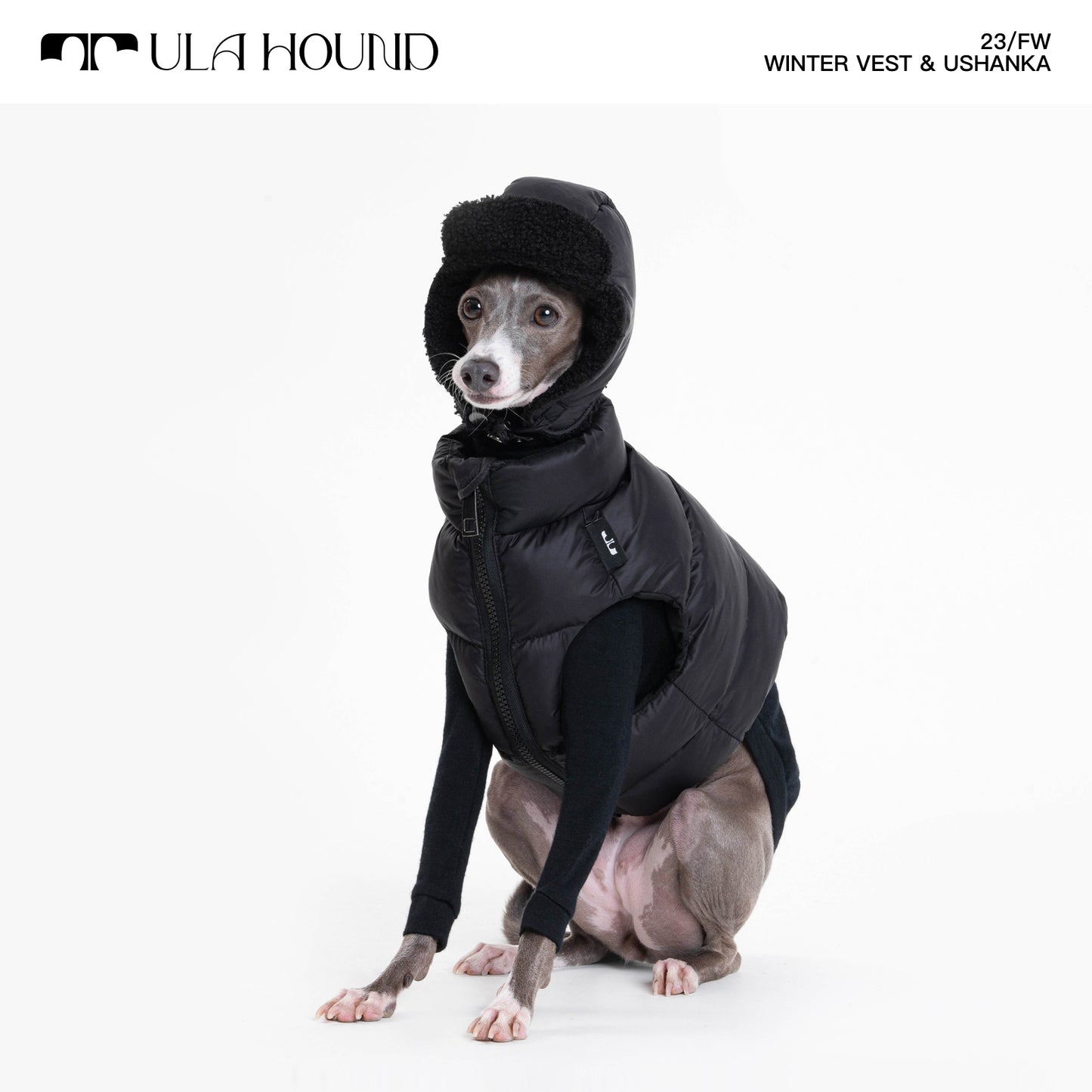ITALIAN GREYHOUND & WHIPPET WINTER VEST