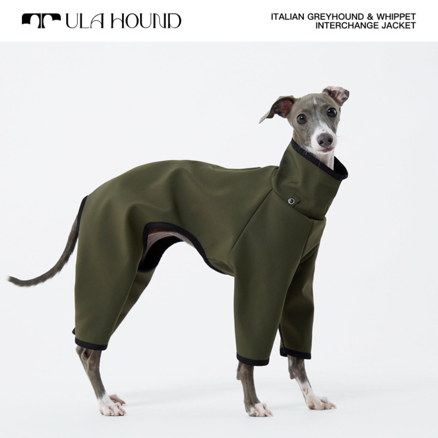 ITALIAN GREYHOUND & WHIPPET INTERCHANGE JACKET