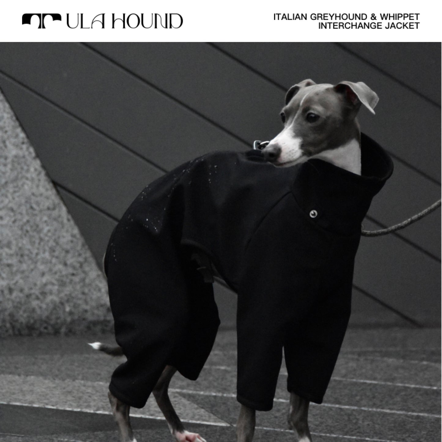 ITALIAN GREYHOUND & WHIPPET INTERCHANGE JACKET