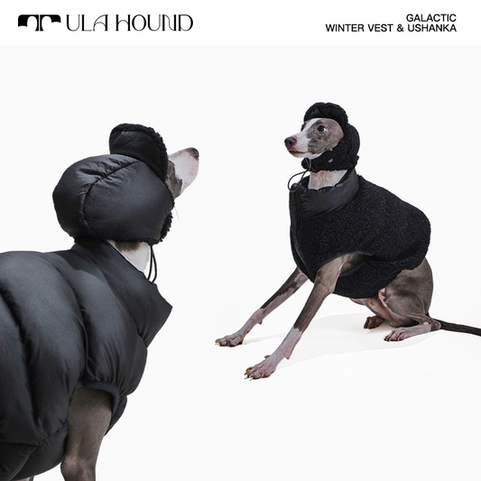 ITALIAN GREYHOUND & WHIPPET WINTER VEST(REVERSIBLE)
