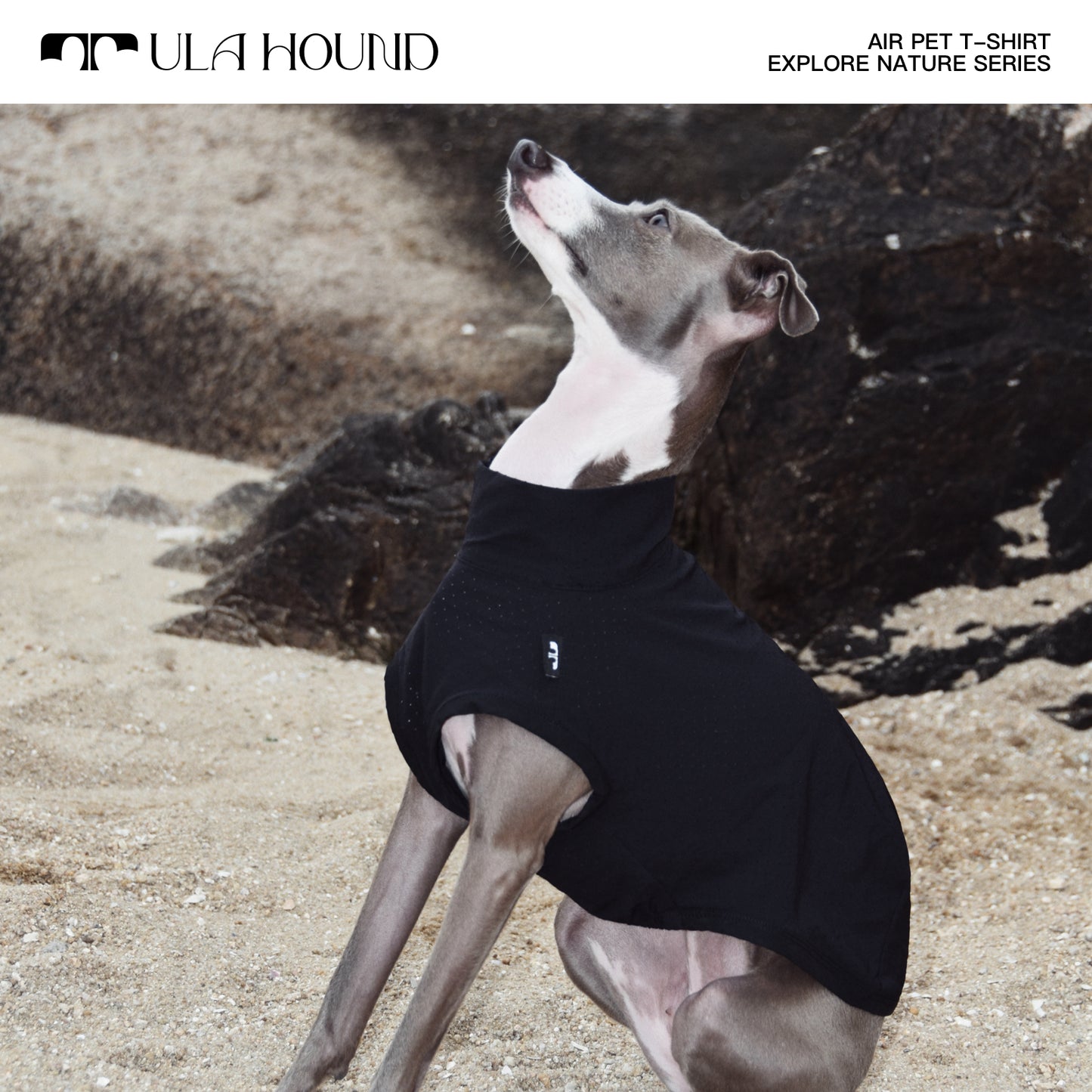 ITALIAN GREYHOUND & WHIPPET DOG OUTDOOR AIRISM, QUICK-DRY VEST
