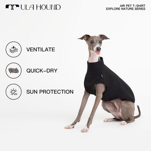 ITALIAN GREYHOUND & WHIPPET DOG OUTDOOR AIRISM, QUICK-DRY VEST