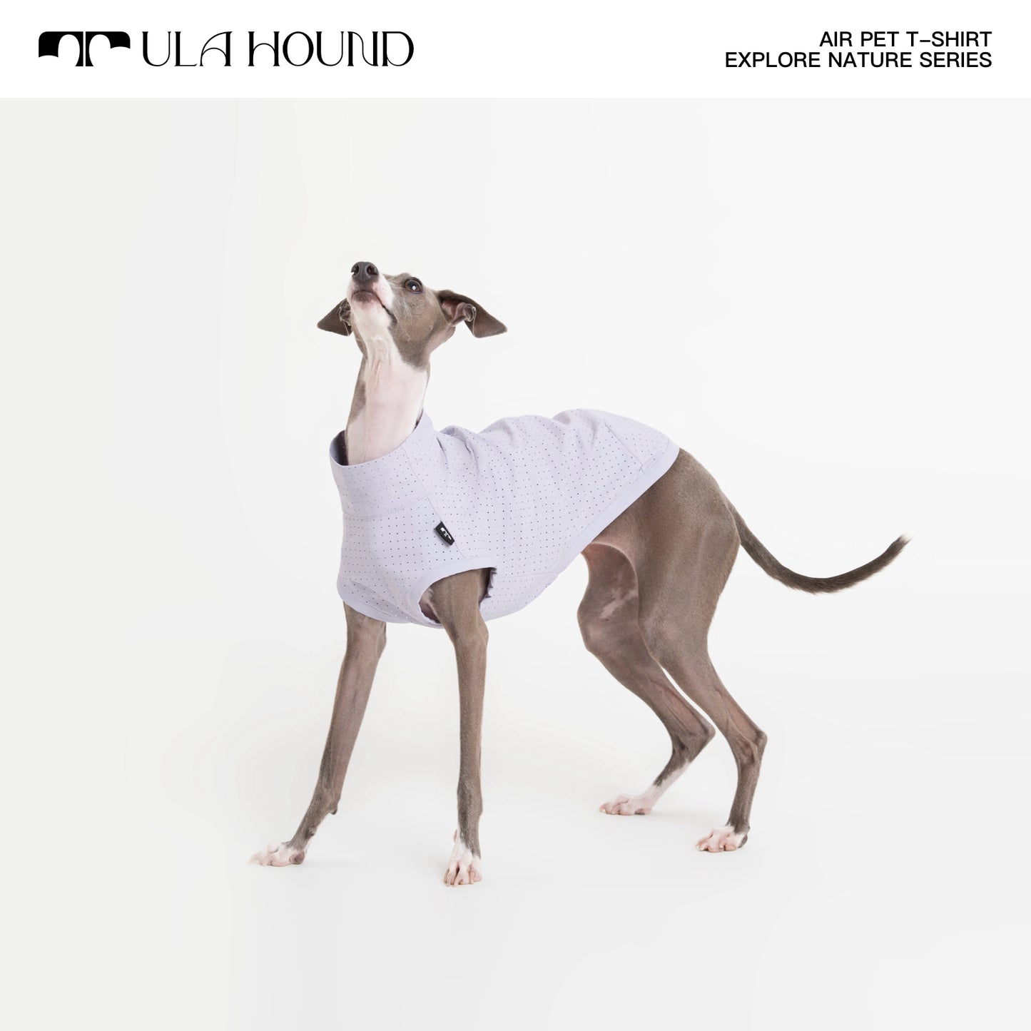 ITALIAN GREYHOUND & WHIPPET DOG OUTDOOR AIRISM, QUICK-DRY VEST