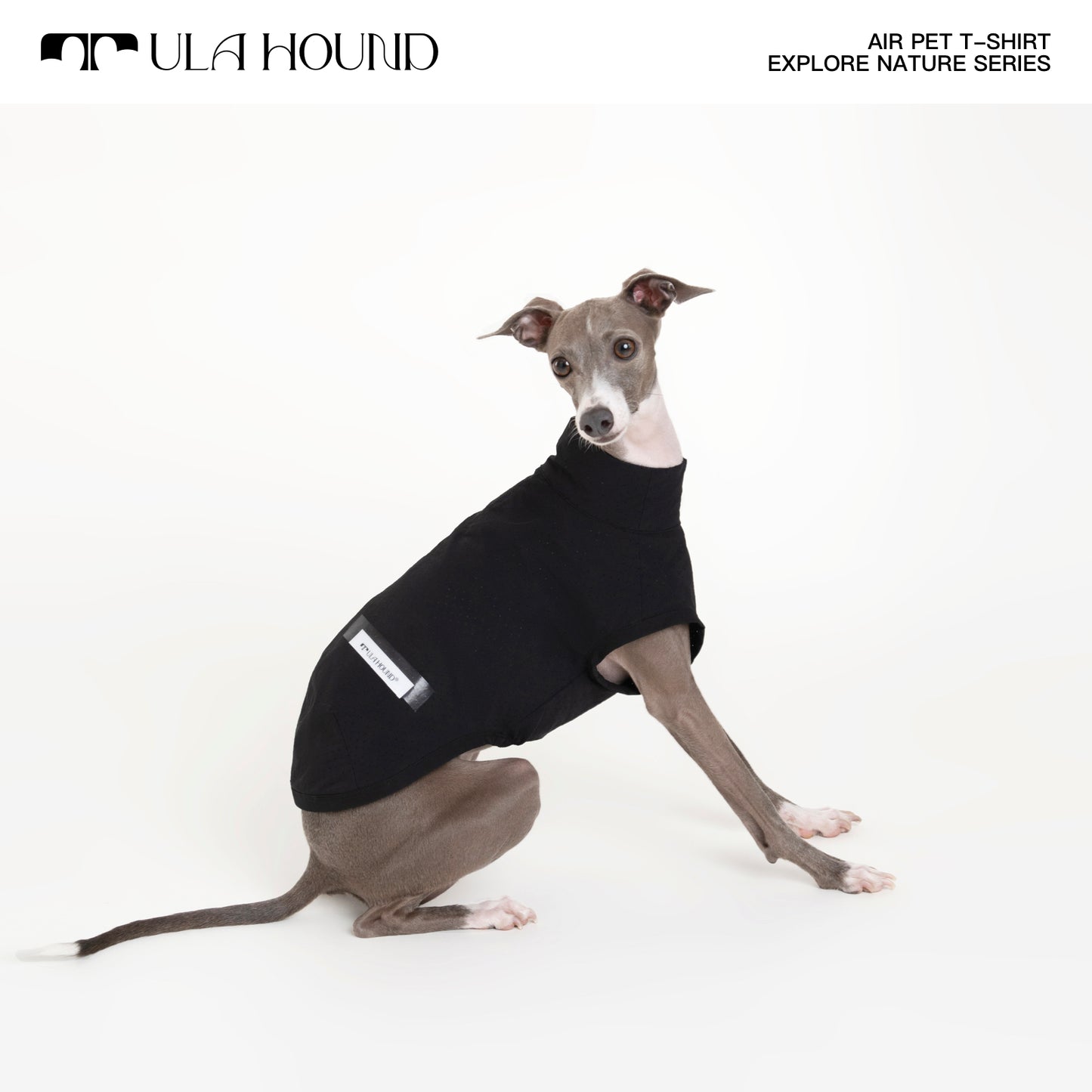 ITALIAN GREYHOUND & WHIPPET DOG OUTDOOR AIRISM, QUICK-DRY VEST