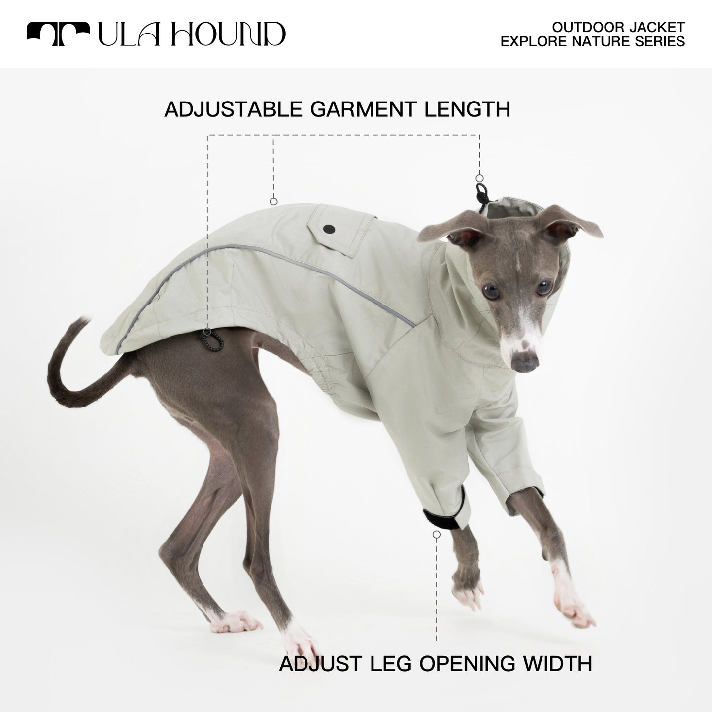 ITALIAN GREYHOU INTERCHANGE JACKETND & WHIPPET