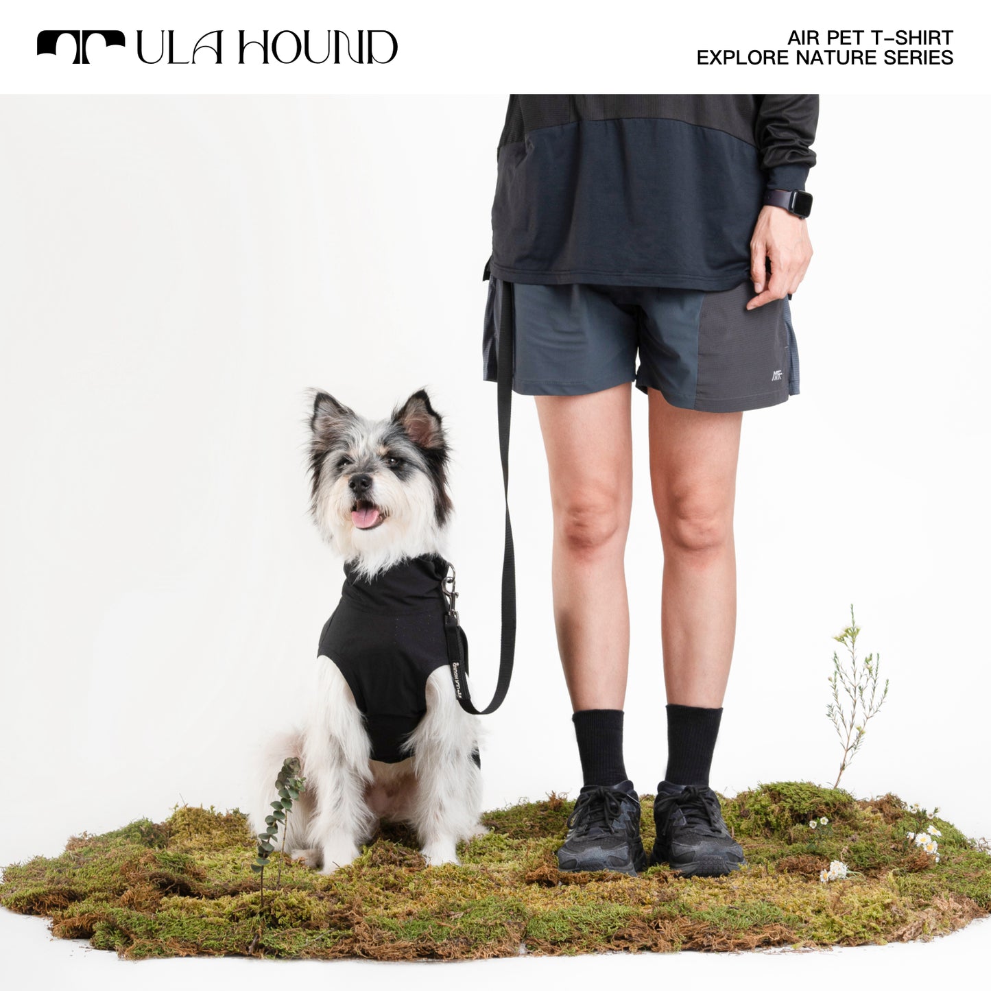 ITALIAN GREYHOUND & WHIPPET DOG OUTDOOR AIRISM, QUICK-DRY VEST