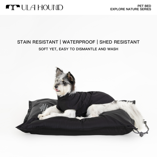 Doggielounge Large Dog Bed