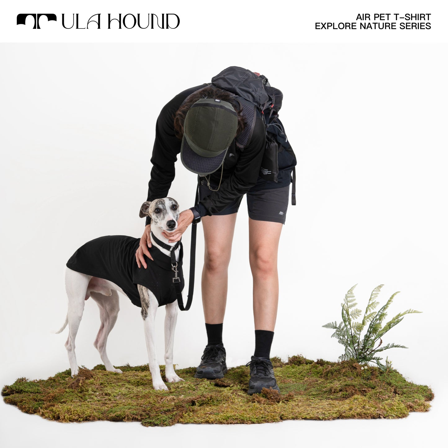 ITALIAN GREYHOUND & WHIPPET DOG OUTDOOR AIRISM, QUICK-DRY VEST