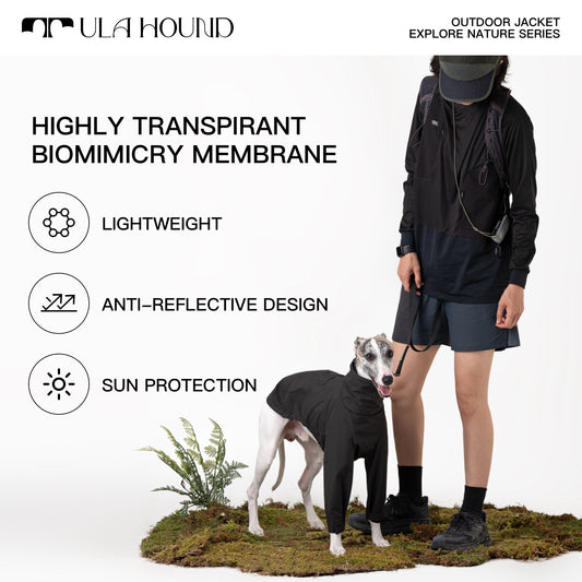 ITALIAN GREYHOU INTERCHANGE JACKETND & WHIPPET