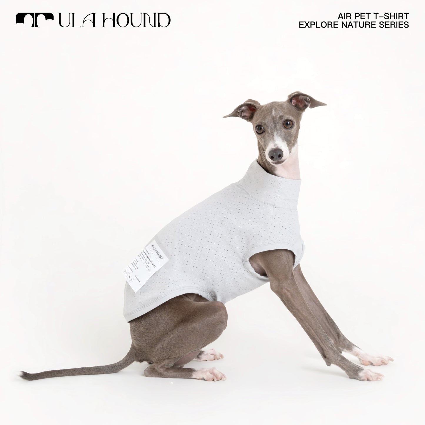 ITALIAN GREYHOUND & WHIPPET DOG OUTDOOR AIRISM, QUICK-DRY VEST