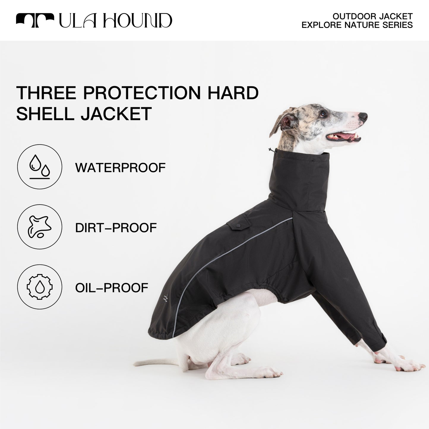 ITALIAN GREYHOU INTERCHANGE JACKETND & WHIPPET