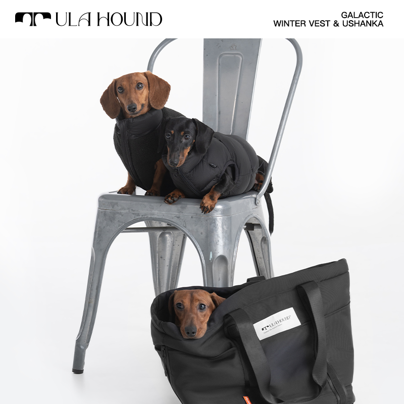 ITALIAN GREYHOUND & WHIPPET WINTER VEST(REVERSIBLE)