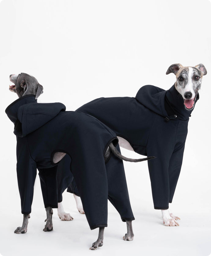 ITALIAN GREYHOUND & WHIPPET INTERCHANGE JACKET