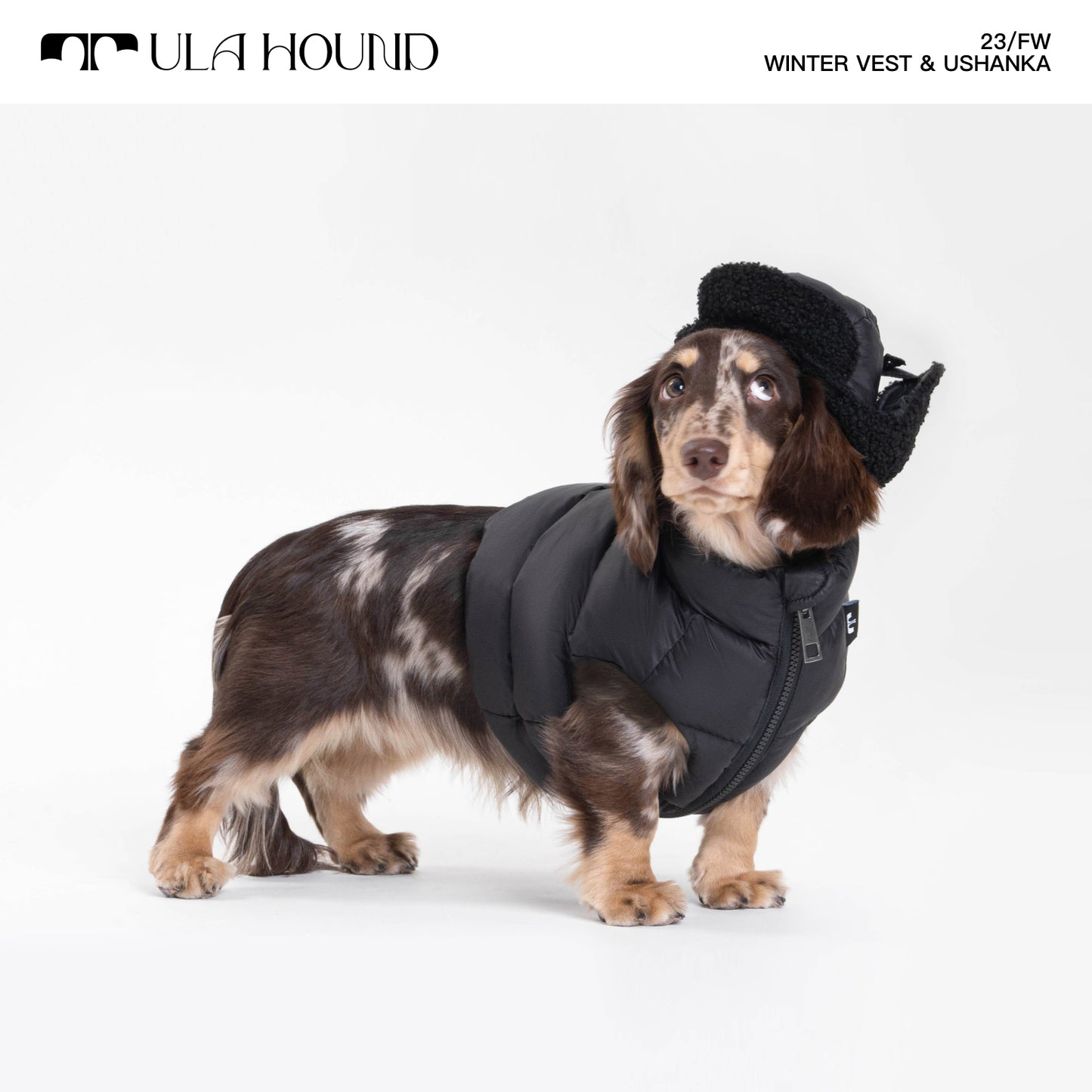 ITALIAN GREYHOUND & WHIPPET WINTER VEST
