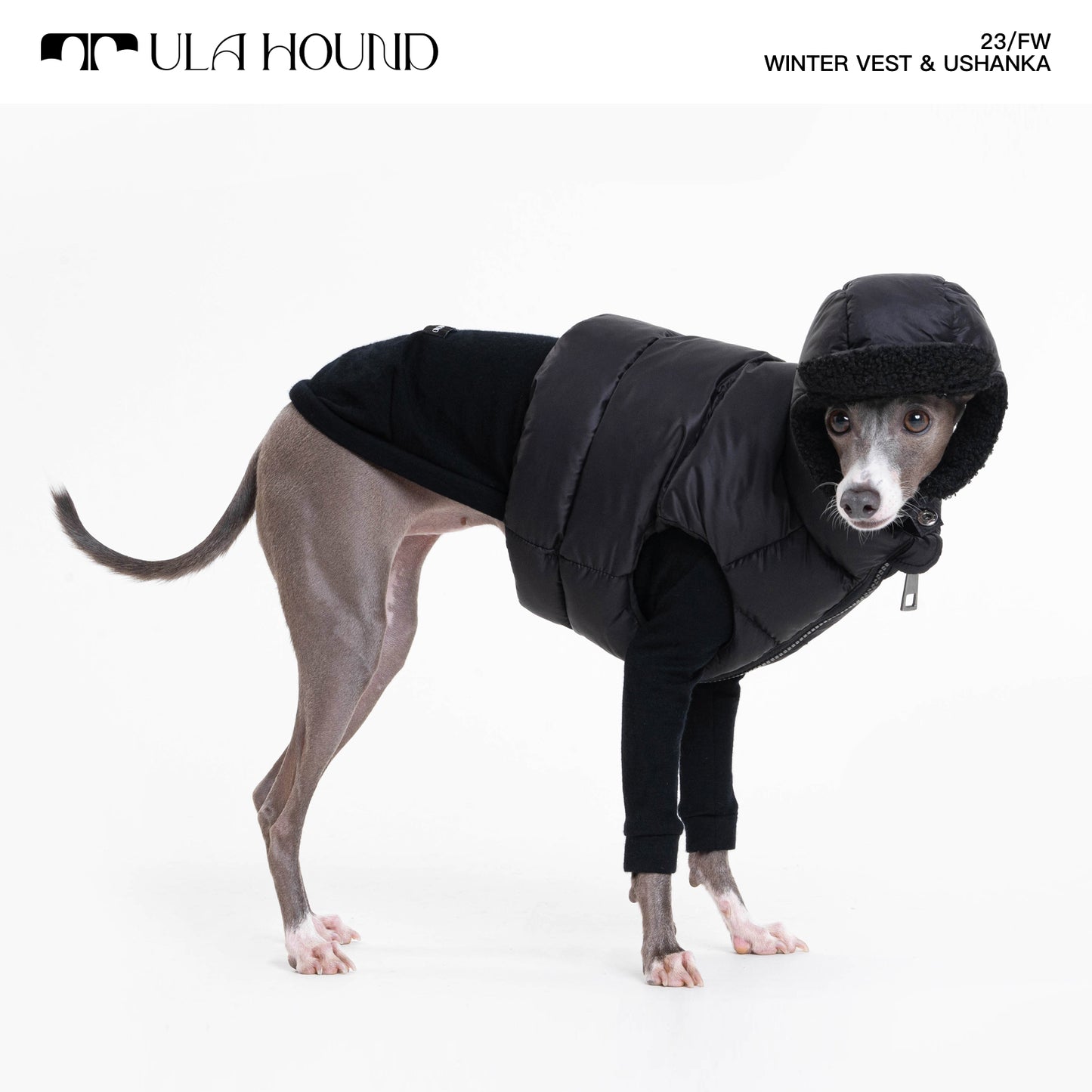 ITALIAN GREYHOUND & WHIPPET WINTER VEST