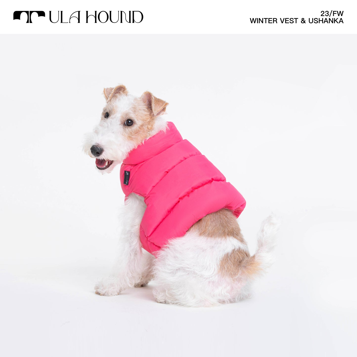 ITALIAN GREYHOUND & WHIPPET WINTER VEST