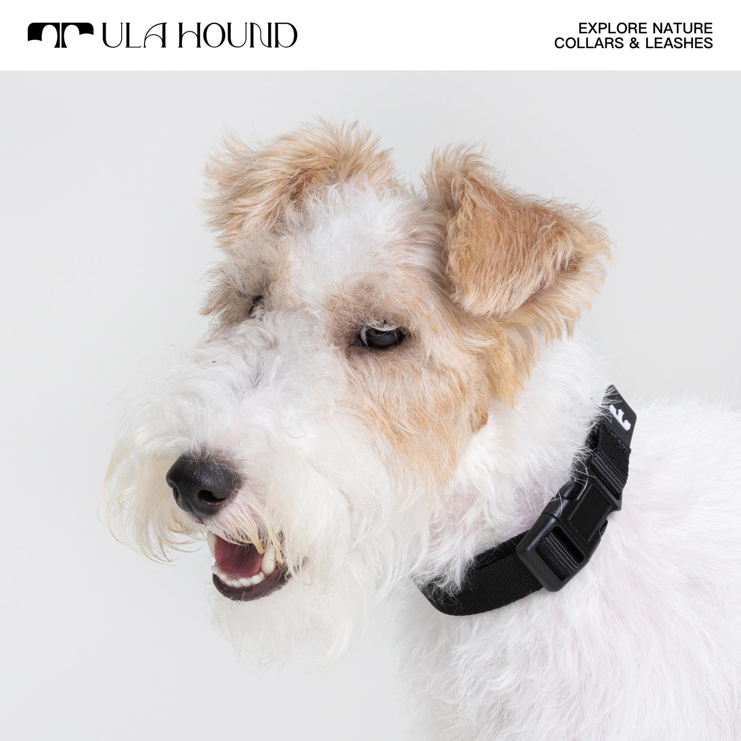 P Choke Collar, Multi-Functional Hands-Free Leash for Dogs