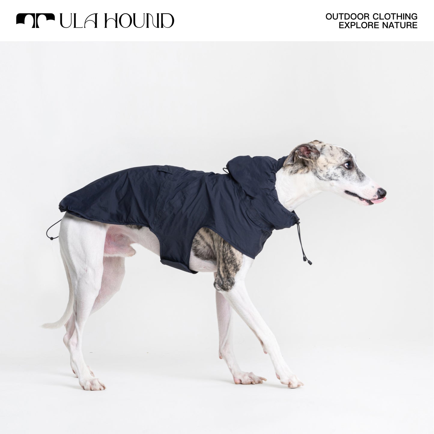 ITALIAN GREYHOUND &,  WHIPPETDog Clothes Outdoor Lightweight, breathable, sun-protective, and waterproof jacket (raincoat).