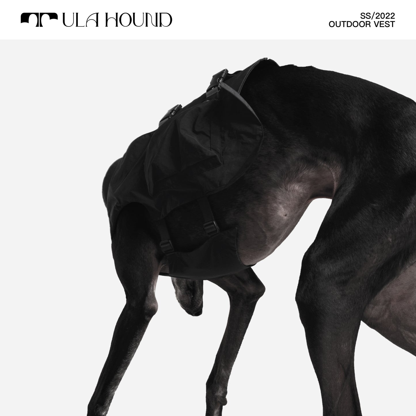 ITALIAN GREYHOUND & WHIPPET DOG OUTDOOR VEST