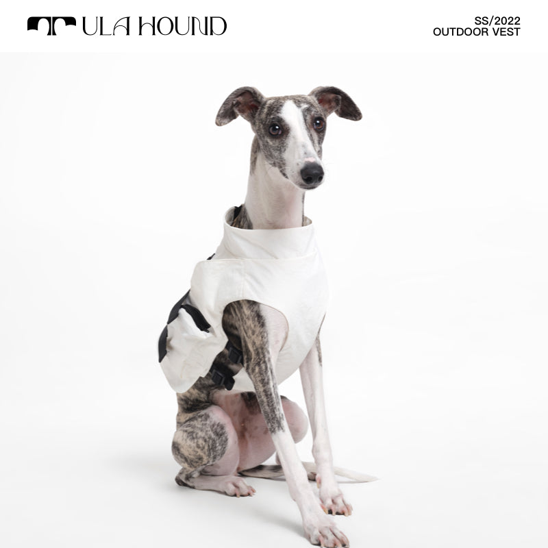 ITALIAN GREYHOUND & WHIPPET DOG OUTDOOR VEST