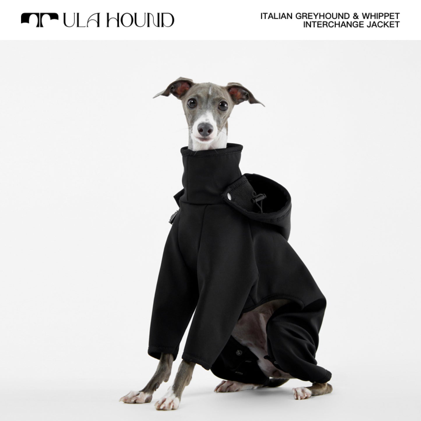 ITALIAN GREYHOUND & WHIPPET INTERCHANGE JACKET