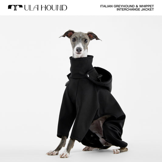 ITALIAN GREYHOUND & WHIPPET INTERCHANGE JACKET