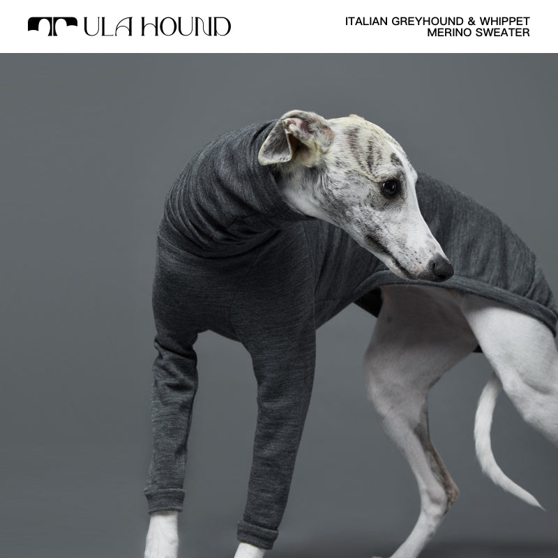 ITALIAN GREYHOUND & WHIPPET Dog Turtleneck Clothes