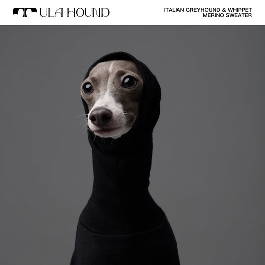 ITALIAN GREYHOUND & WHIPPET Dog Turtleneck Clothes