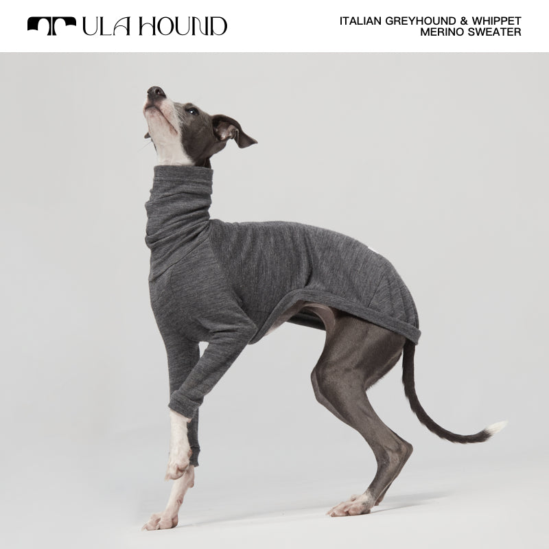 ITALIAN GREYHOUND & WHIPPET Dog Turtleneck Clothes