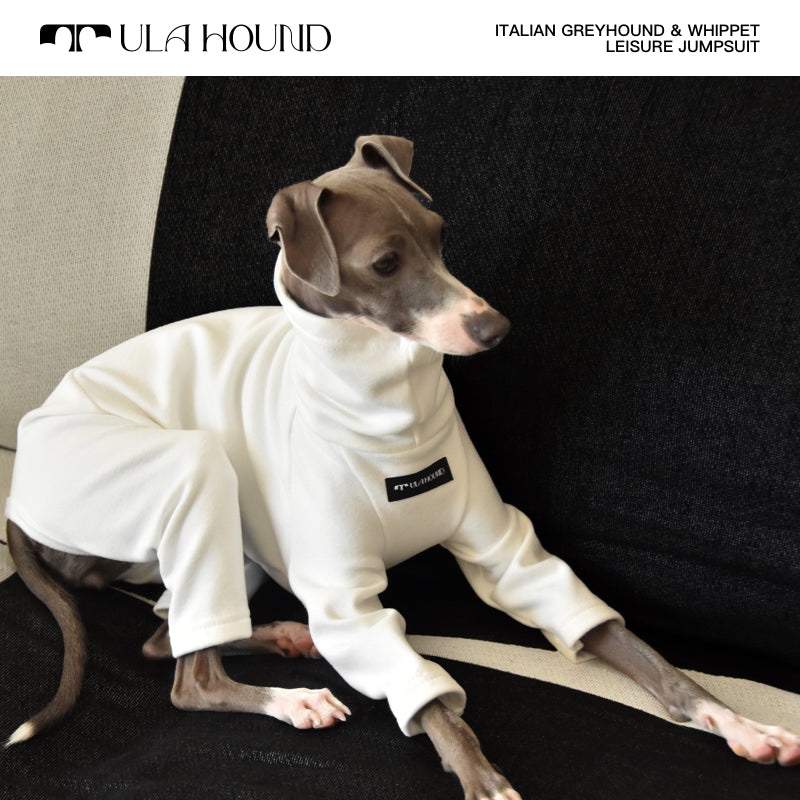 ITALIAN GREYHOUND & WHIPPET Dog Clothes Turtleneck Sweatshirt/Jumpsuit