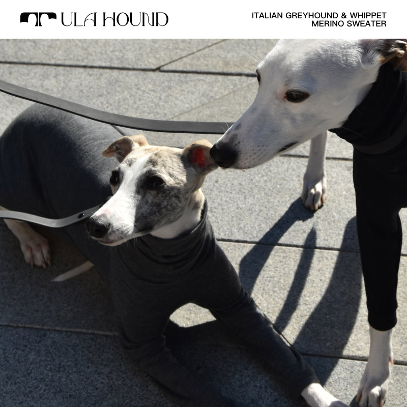 ITALIAN GREYHOUND & WHIPPET Dog Turtleneck Clothes