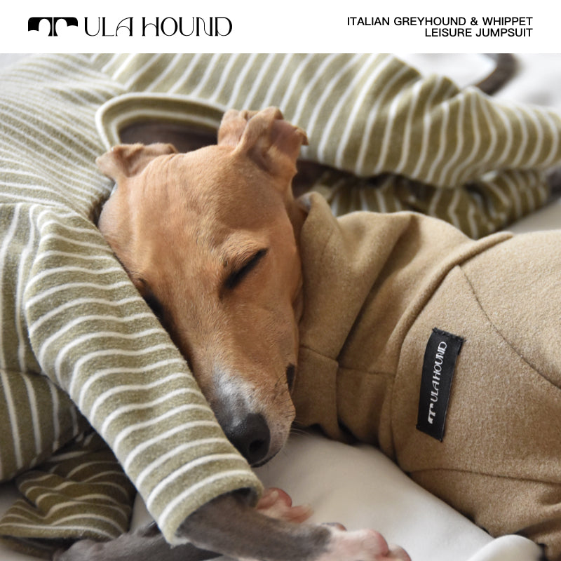 ITALIAN GREYHOUND & WHIPPET Dog Clothes Turtleneck Sweatshirt/Jumpsuit