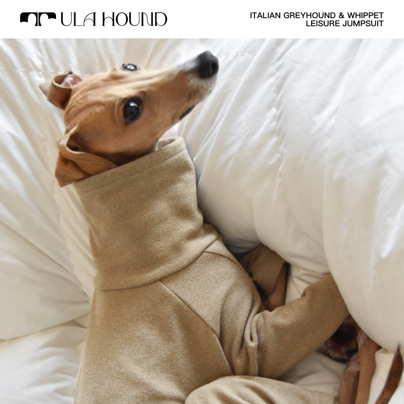 ITALIAN GREYHOUND & WHIPPET Dog Clothes Turtleneck Sweatshirt/Jumpsuit