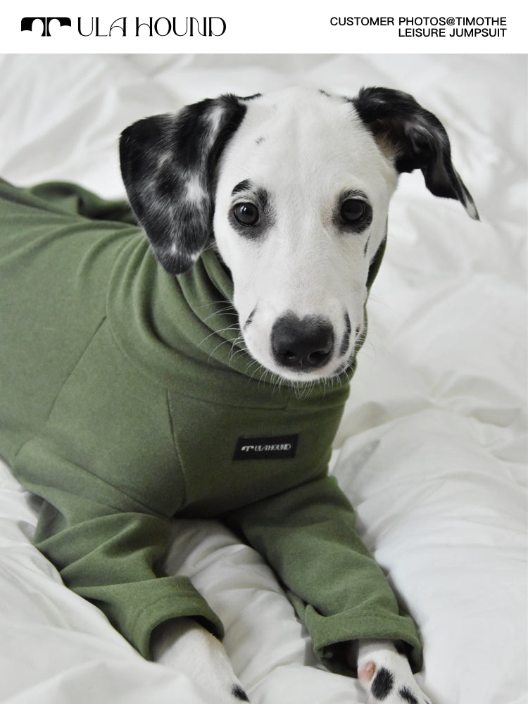 ITALIAN GREYHOUND & WHIPPET Dog Clothes Turtleneck Sweatshirt/Jumpsuit