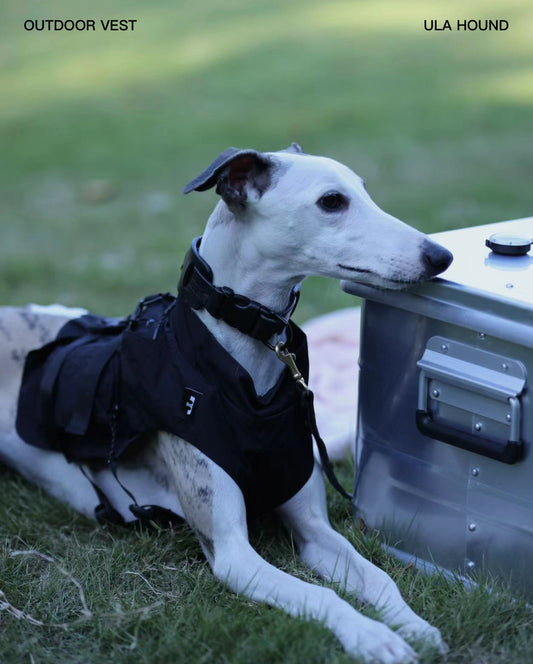 ITALIAN GREYHOUND & WHIPPET DOG OUTDOOR VEST