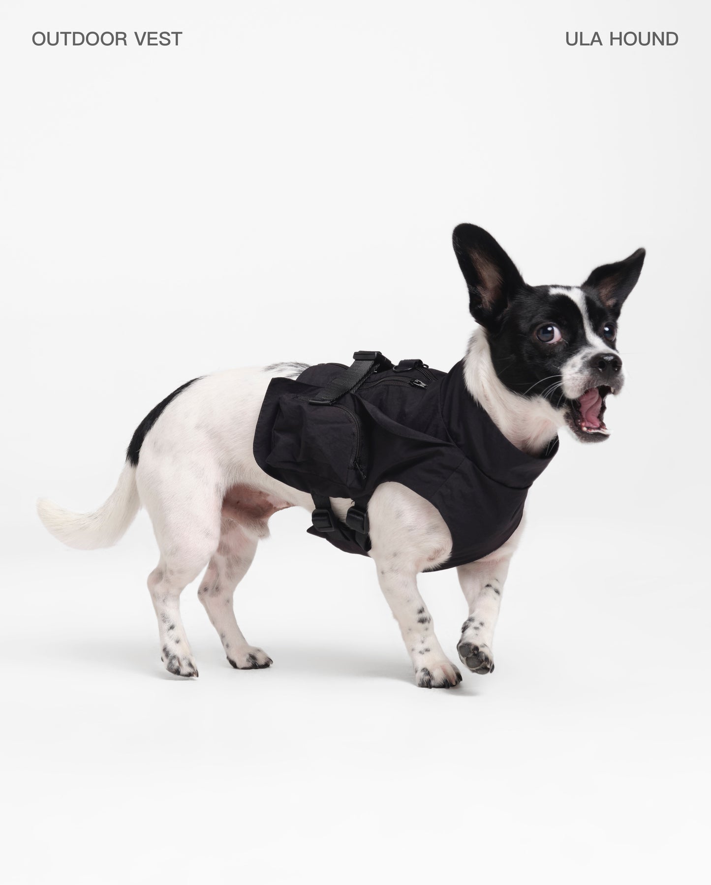 ITALIAN GREYHOUND & WHIPPET DOG OUTDOOR VEST