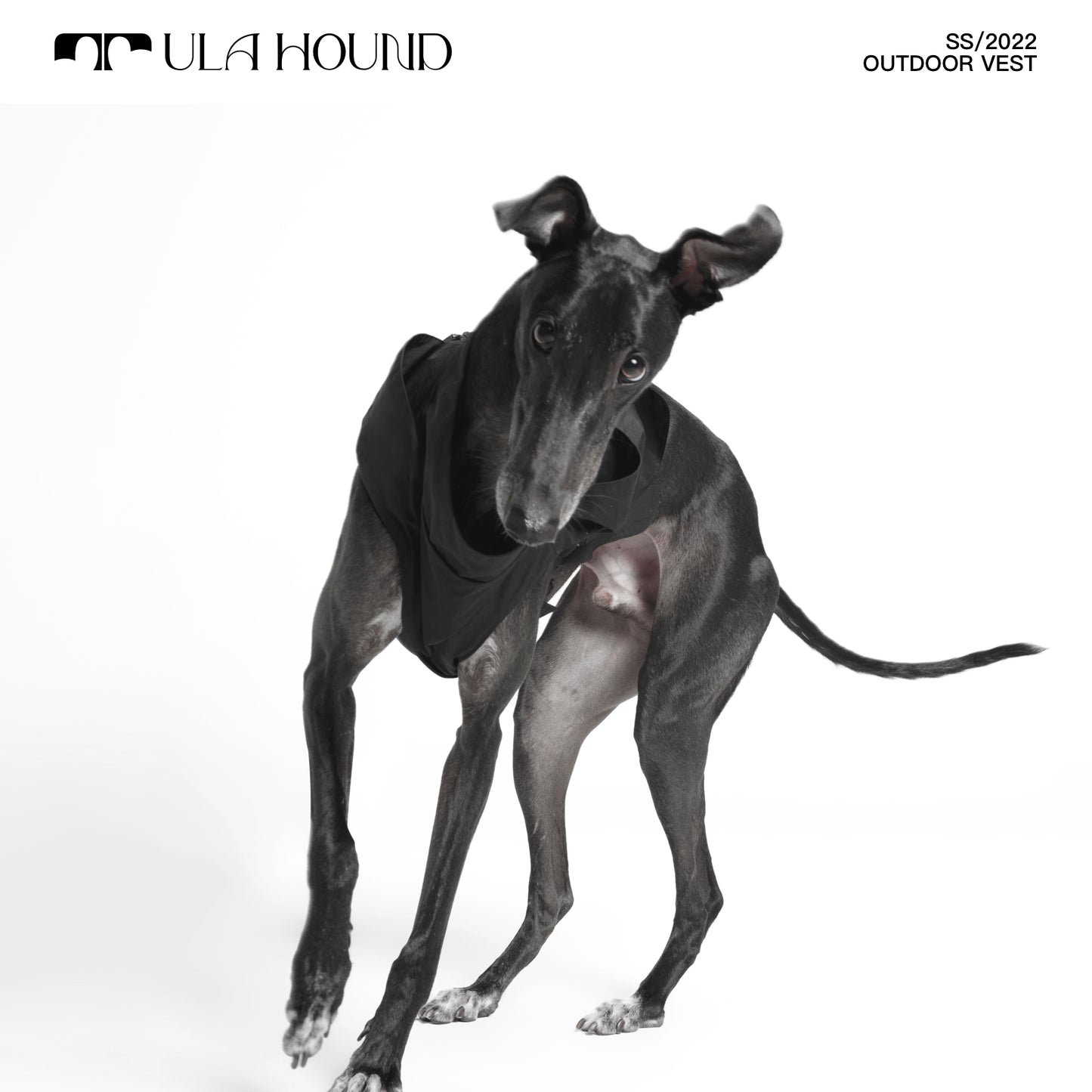 ITALIAN GREYHOUND & WHIPPET DOG OUTDOOR VEST